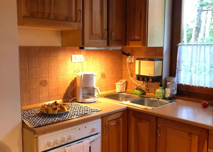 Viola Semesterbostad Zamárdi